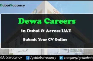 Dewa Careers