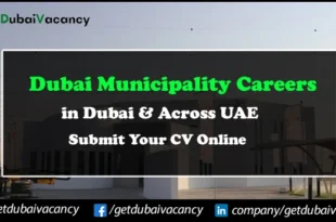 Dubai Municipality Careers