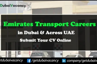 Emirates Transport Careers