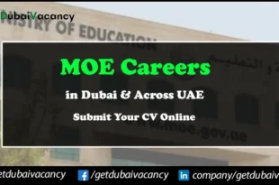 MOE Careers
