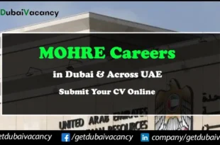 MOHRE Careers
