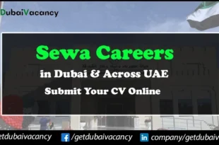 Sewa Careers