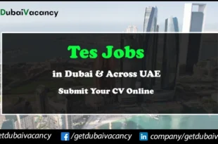 TES Jobs
