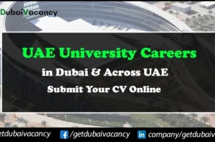UAE University Careers
